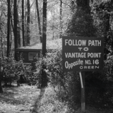 "No. 16" Short Sleeve T-Shirt